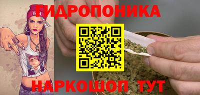 шишки Беслан