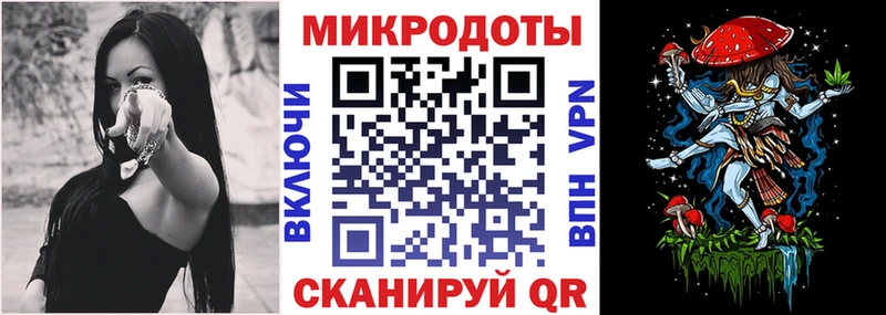 Галлюциногенные грибы Psilocybine cubensis  Тосно 