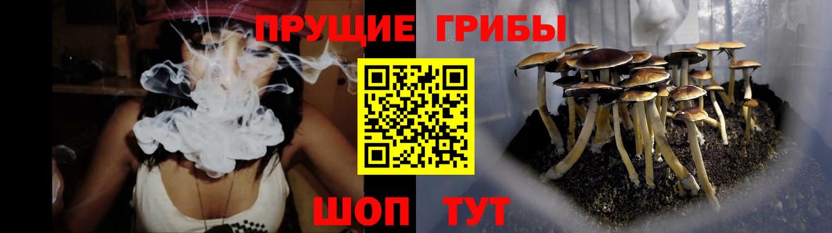 Галлюциногенные грибы Psilocybine cubensis  Псилоцибиновые грибы ЛСД  Вход с VPN  Тосно 