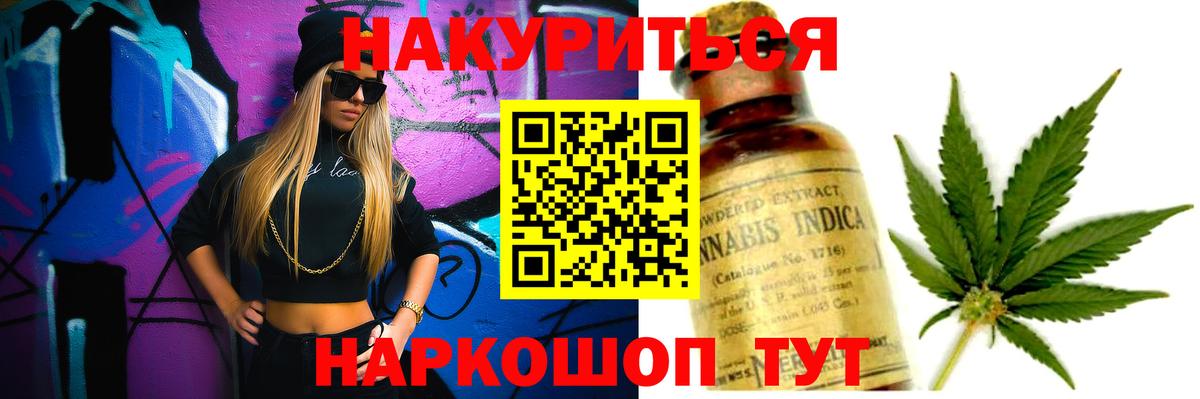 Каннабис OG Kush Тосно